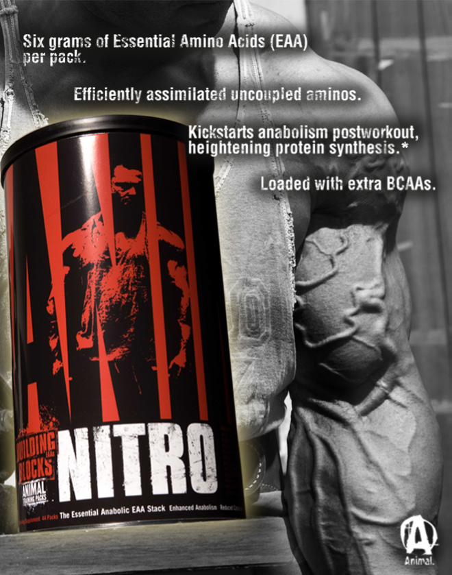 Universal Nutrition Animal Nitro